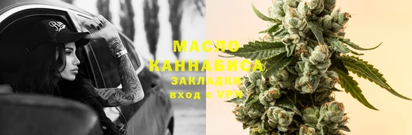 МДПВ Пересвет