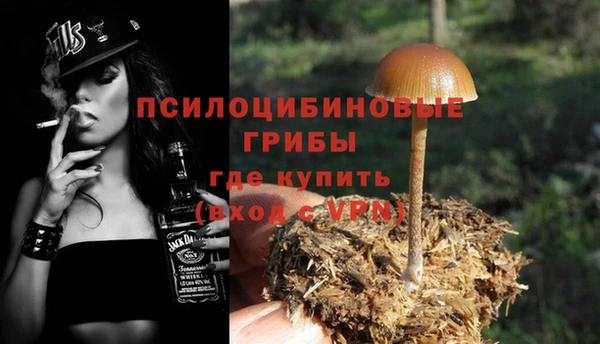 дурь Абдулино