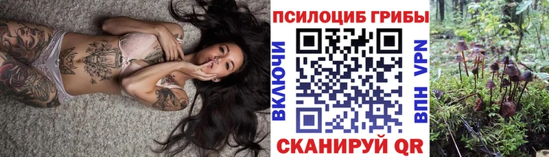 Галлюциногенные грибы мицелий  купить наркотики сайты  Адыгейск 